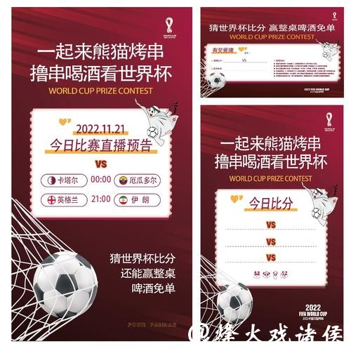 揭秘卡塔尔世界杯激情与荣耀背后的故事